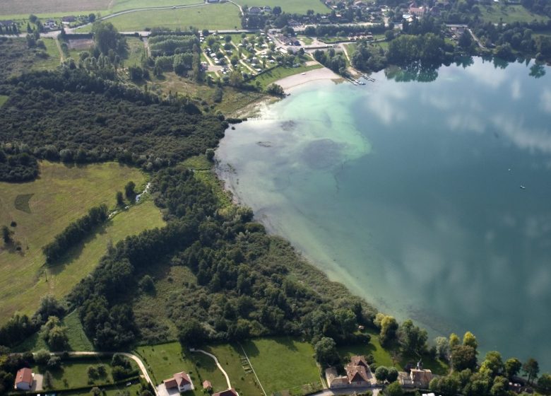 Histoire du marais de la Véronnière entre nature et archéologie