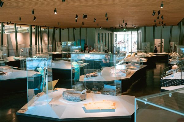 Visites des collections permanentes