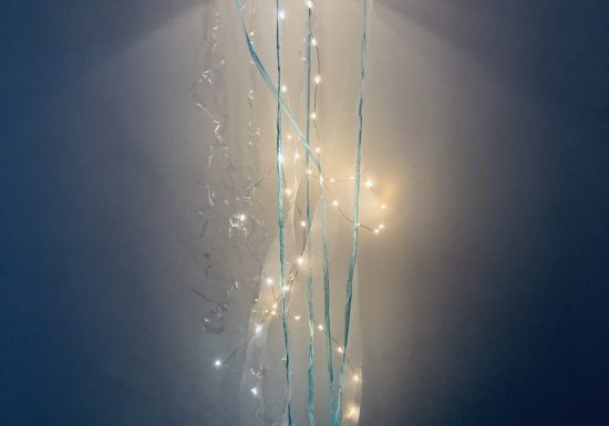 La danse des méduses