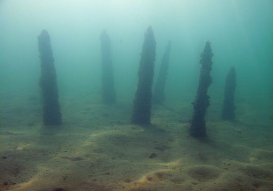 Conférence : « Archéologie subaquatique des lacs alpins : les palafittes néolithiques en question »