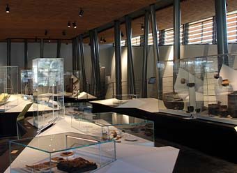 Visite guidée régulière des collections du MALP