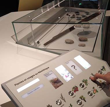 Une visite ludique et interactive