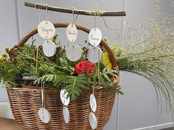 Atelier suspension végétale