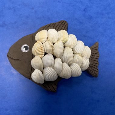 Atelier : Écailles et coquillages