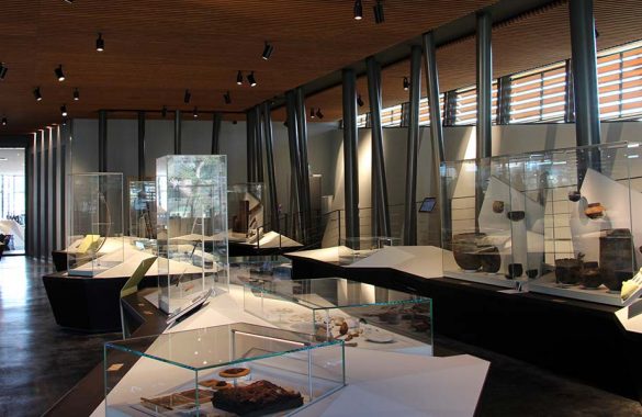 Actualité du musée